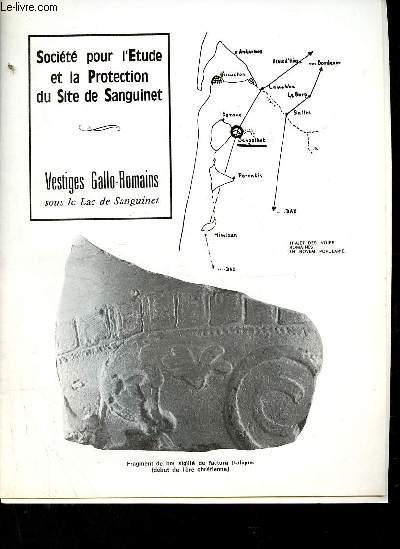 Socit pour l'tude et la protection dui site de Sanguinet - Vestiges Gallo-Romains sous le Lac de Sanguinet.