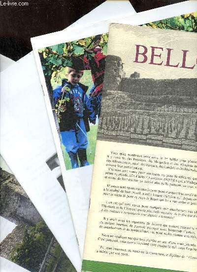 Lot de 4 bulletins de la confrrie des vignerons libres de Bellocq de 1993-1994.