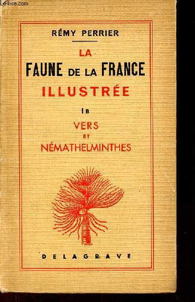 La faune de la France en tableaux synoptiques illustrs - Tome I B. vers et nmathelminthes.