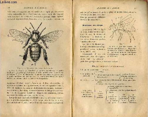 Apiculture - Collection encyclopdie agricole.