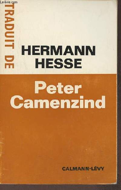 Peter Camenzind rcit.