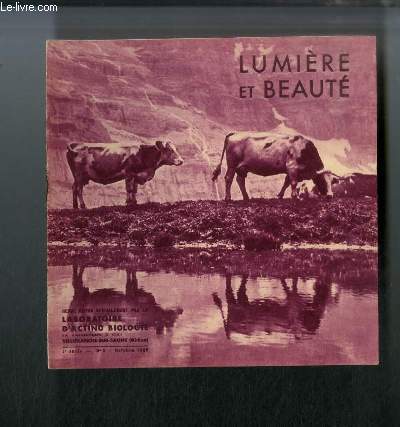 Lumire et Beaut n 9 - Patrimonio, a l'entre du Cap Corse, Bastia, quartier de Saint Joseph, le vieux port, Corbara, Corse
