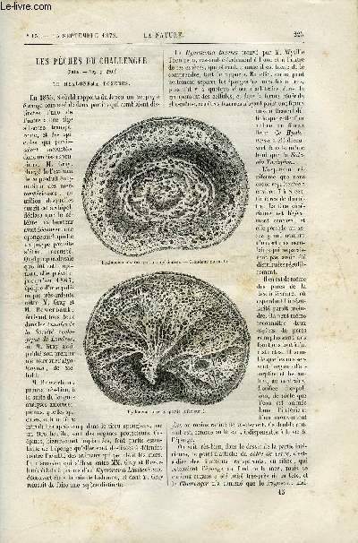 La nature n 15 - Les pches du challenger, le hyalonema toxeres, Le cholra, L'oeuvre de Maury par Elie Margoll, Les criquets dvastateurs par Maurice Girard, La tlgraphie atmosphrique, les drangements par Ch. Bontemps, L'association franaise