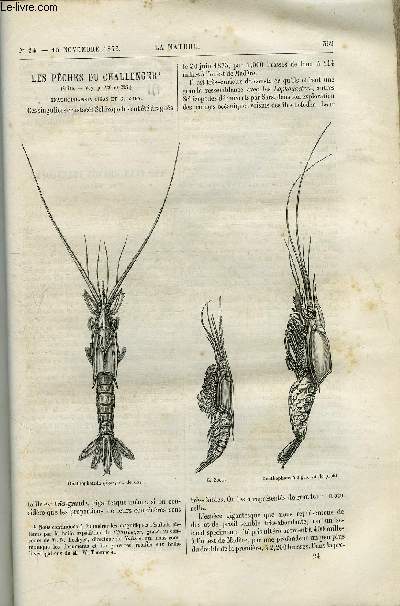 La nature n 24 - Les pches du challenger, Les plus grands tlescopes du monde par Camille Flammarion, Les poissons de Chine exposs au congrs des orientalistes par E.S., Expditions scientifiques de Khiva, l'amou daria et la mer d'aral par Gaston