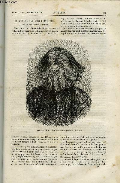 La nature n 25 - Des deux individus exhibs sous le nom d'hommes chiens par Dr J. Bertillon, Le phare d'Ar Men par Charles Boissay, La plante Jupiter par Amde Guillemin, Les pches du challenger, W.J. Macquorn Rankine, La pisciculture et la pche