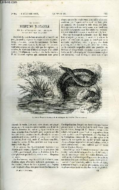 La nature n 88 - Le nouvel herpeton tentacul de la mnagerie des reptiles au jardin des plantes par Dr E. Sauvage, L'apiculture moderne, les ruches perfectionnes par Maurice Girard, La science au nouvel opra par Gaston Tissandier, Le passage de Vnus