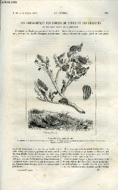 La nature n 96 - Les chrysomles des pommes de terre et des luzernes par Maurice Girard, Le poivre et ses falsifications par Ed. Landrin, La numration des globules du sang par G. Boudin, Les distributions d'eaux, les eaux de Rome par Ch. Bontemps