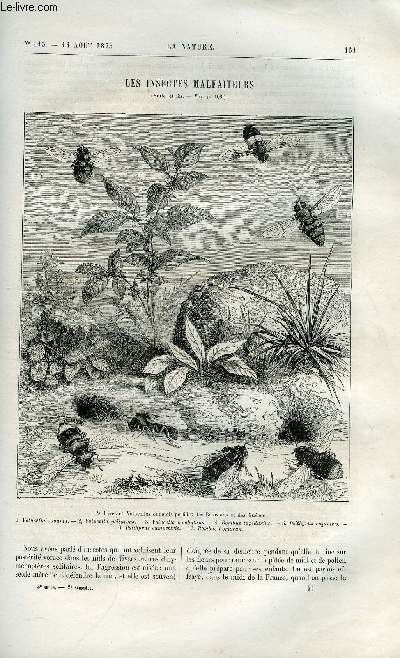 La nature n 115 - Les insectes malfaiteurs par Maurice Girard, Appareils de sauvetage pour les baigneurs par L. Lhritier, Les mouvements propres des toiles par Camille Flammarion, Les instruments d'observations mtorologiques par Gaston Tissandier