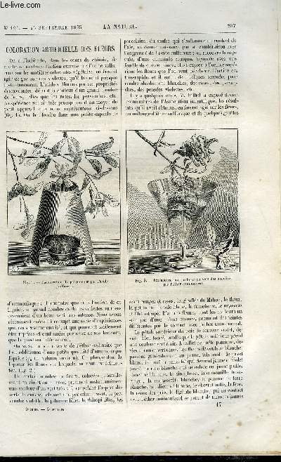 La nature n 121 - Coloration artificielle des fleurs, L'association britannique pour l'avancement des sciences, Les cartons de graines de vers a soie du Japon par Gabriel Marcel, L'exposition des industries fluviales et maritimes par H. de la Blanchre