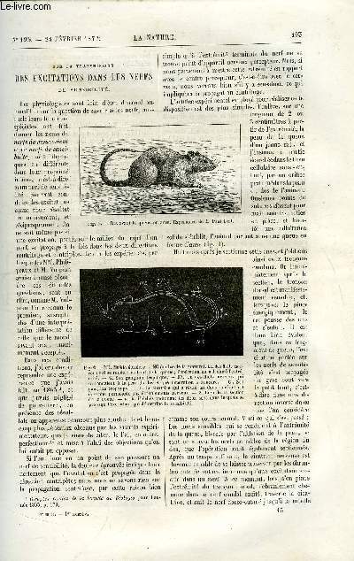 La nature n 195 - Sur la transmission des excitations dans les nerfs de sensibilit par Paul Bert, Les cables lectriques sous marins et leur fabrication par P. Nolet,Le bombyce du pin par Maurice Girard, Halo solaire du 23 dcembre 1876 observ a Denver