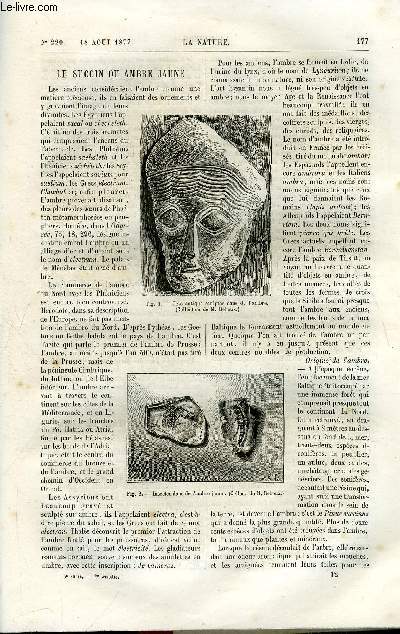 La nature n 220 - Le succin ou ambre jaune par Reboux, L'clipse totale de lune du 23 aout 1877 par C. Flammarion, Exploration du Rio Colorado dans l'Ouest des Etats Unis, Les singes anthropomorphes par E. Oustalet, La pyrale de la vigne par Maurice