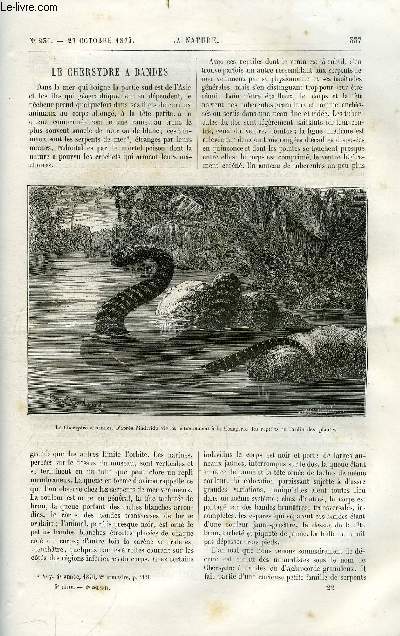 La nature n 230 - Le chersydre a bandes par E. Sauvage, Sur la combustion spontane du charbon en mer, Mois mtorologique aux Etats Unis, aout 1877, Sur quelques singuliers phnomnes de diffusion, Les grottes des basses alpes par le Dr E. Heckel