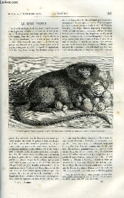 La nature n 231 - Le singe pygme, Dcouverte de l'oxygne dans le soleil par H. Draper, Le tremblement de terre du 8 octobre 1877 en Italie, en Suisse et en France par Gaston Tissandier, Emploi des matires tinctoriales et extraction de l'indigo