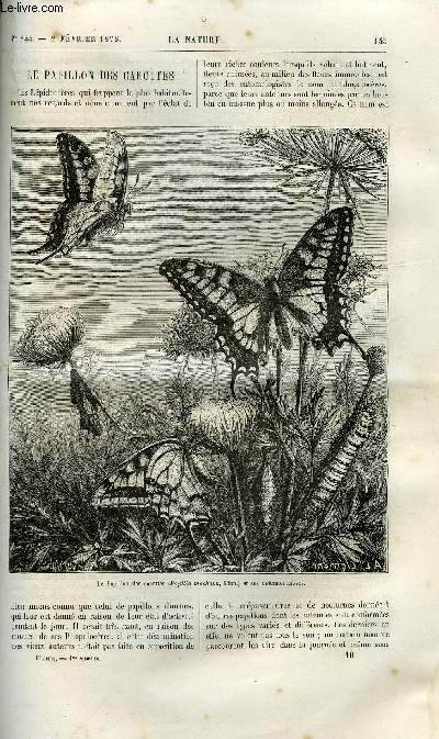 La nature n 244 - Le papillon des carottes par Maurice Girard, Les seiches des lacs d'aprs les recherches de M. le Dr F.A. Forel, Commerce de viande fraiche en Amrique par Herv Mangon, La liqufaction des gaz par Gaston Tissandier, Sur la constitution