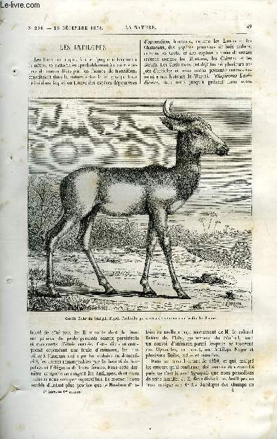 La nature n 291 - Les antilopes par E. Oustalet, Exposition universelle de 1878 par Ch. Boissay, Coup d'oeil sur la faune de la Nouvelle Guine, les insectes, Statistique du mariage
