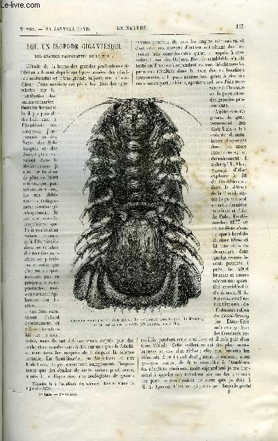 La nature n 295 - Sur un isopode gigantesque des grandes profondeurs de la mer, Gologie de l'ile de Chypre, La tour balise de Lavezzi par Charles Bossay, Les satellites de Mars par Camille Flammarion