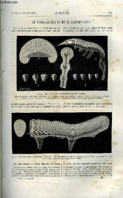 La nature n 313 - Le verglas des 22 et 23 janvier 1879 par D. Colladon, Lampe lectrique a mtal incandescent, L'archipel canarien et ses habitants primitifs par Dr Verneau, Coup d'oeil sur la faune de la Nouvelle Guine, La phosphorescence par Gaston