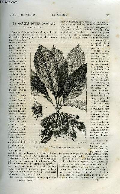 La nature n 406 - Une nouvelle denre coloniale, les fleurs de Bassia par J. Poisson, Les chemis de fer de Festiniog et les chemins a voie troite par L. Bacl, Le laboratoire de zoologie maritime de Naples par Emile Yung, Les graines fossiles