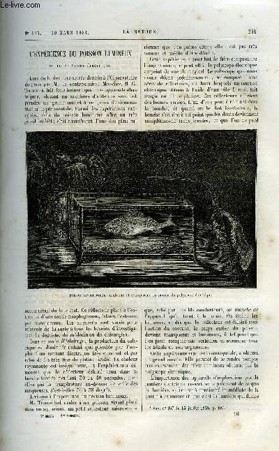 La nature n 407 - L'exprience du poisson lumineux et le polyscope lectrique, L'alcool dans la nature par Gaston Tissandier, Sur le montage des piles lectriques par E. Hospitalier, L'architecture des oiseaux par E. Oustalet, Une naine extraordinaire