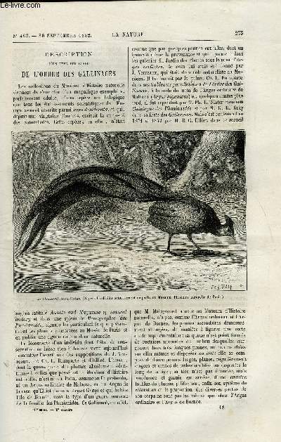 La nature n 487 - Description d'un type peu connu de l'ordre des gallinacs par E. Oustalet, Le tlgraphe de bourse par Ed. Hospitalier, La prononciation des nom de lieu par les franais, Le naphte en russie, Curiosits arostatiques par Gaston