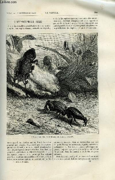 La nature n 535 - L'hypocphale arm par Maurice Girard, La navigation sous marine, Comment doit-on crire un nombre ?, La photographie en mdecine, appareil photo lectrique par Albert Londe, Le tramcar lectrique de la Freench electrical power storage