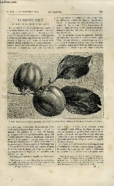 La nature n 598 - Un nouveau fruit, le kaki de la Chine et du Japon par J. Poisson, L'industrie des cuirots de moutons par A. Brillouin, Le phylloxera et les traitements par le sulfure de carbone par Louis Role, L'arostat dirigeable lectrique