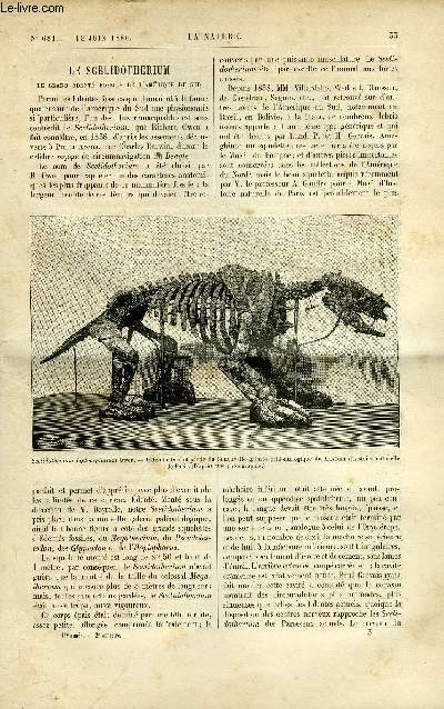 La nature n° 681 - Le scelidotherium, le grand édenté fossile de - Afbeelding 1 van 1
