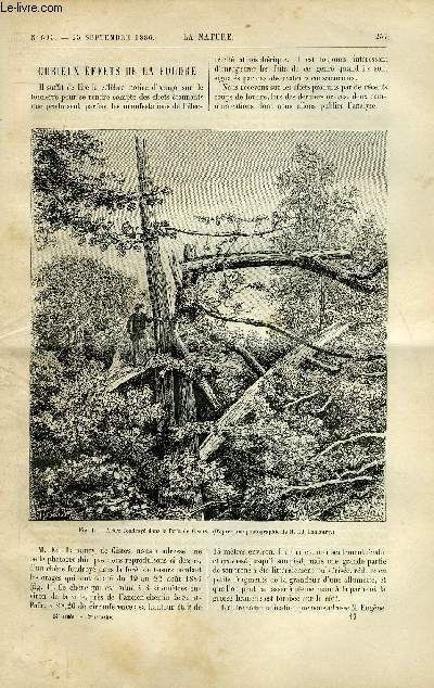 La nature n 695 - Curieux effets de la foudre, Le tremblement de terre des Etats Unis du 31 aout 1886, Elevateur hydraulique ou pompe a un seul clapet, Un nouveau cadran de compteur, Poissons de l'archipel malais par Maurice Maindron, La fibre vulcanise