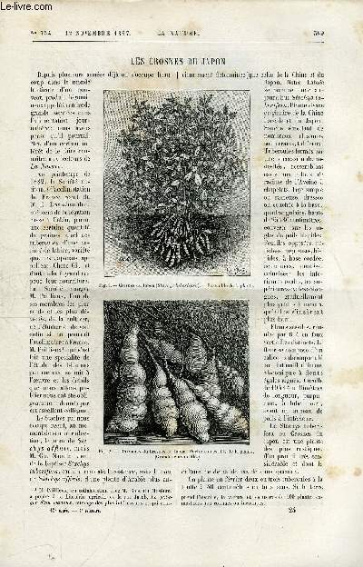 La nature n 754 - Les crosnes du Japon par Ernest Bergman, L'archipel canarien et ses habitants primitifs par Dr Verneau, La traction mcanique des vhicules sur routes, La tour Eiffel par Gaston Tissandier, La temprature probable du pole par Jules