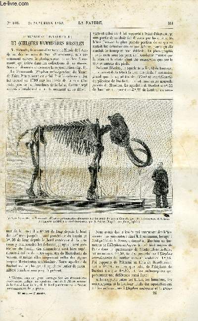 La nature n 808 - Dimensions gigantesques de quelques mammifres fossiles par Albert Gaudry, L'institut pasteur, L'astronomie en Chine par W. de Fonvielle, Accidents de chemin de fer, La correction du Rhin alsacien