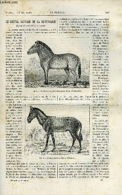 La nature n 885 - Le cheval sauvage de la dzoungarie par Dr E. Trouessart, La poudre sans fume par Maxime Hlne, Echelle mobile a poissons installe au barrage de port mort sur la Seine, Le schisophone, Le filage de l'huile a la mer, Les poupes