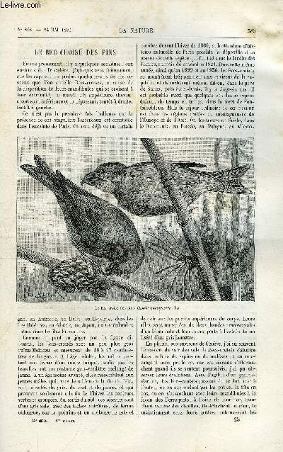 La nature n 886 - Le bec-crois des pins par F. de Schaeck, L'crmeuse Jonsson par E. Fleurent, Moteurs a essence de ptrole, Les torpilleurs en 1890, Le service du nivellement gnral de la France par Daniel Bellet, Histoire d'un lopard du jardin