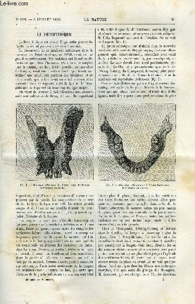 La nature n 892 - Le dryopithque, Les pygmes de l'Afrique centrale par H.M. Stanley, La maladie des pommes de terre et le moyen de la combattre par Aim Girard, Les marines militaires, Le polyphone zigang par Ed. Hospitalier, La grande tour de Londres