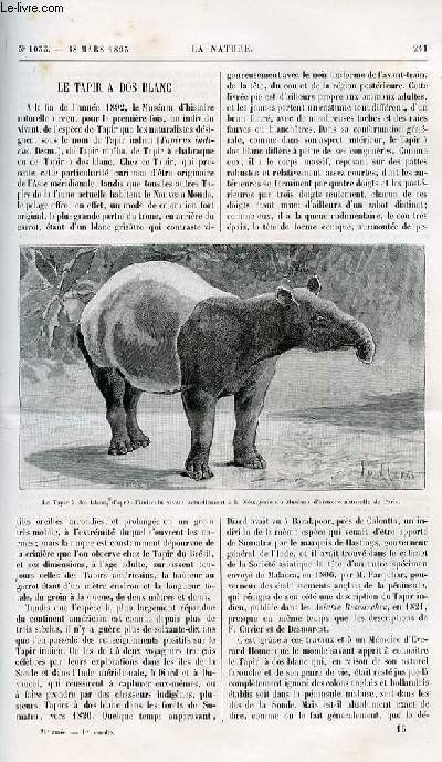 La nature n 1033 - Le tapir  dos blanc avec gravure dnas le texte de l'animal. Les chemins de fer stratgiques en france . Lunettes d'atelier. Les thtres d'automates en Grce au 2me sicle avant notre re avec gravure dans le texte d'un appareil