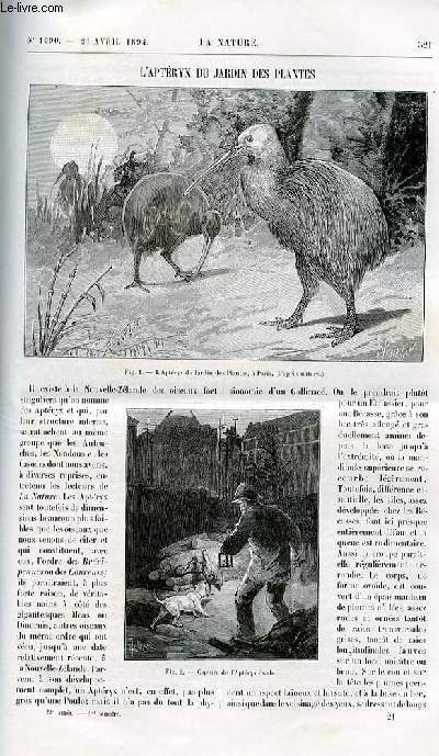 La nature n 1090 - L'aptryx du jardin des Plantes avec gravure dans le texte de l'aptryx , article par Oustalet. Les clairs en chapelet par Pellisier. Les personnages en cire - leur fabrication avec gravure dans le texte. Le trone de Bhanzin