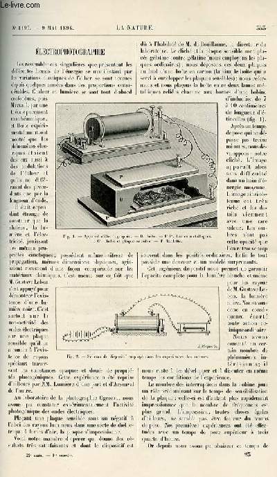 La nature n 1197 - Electrophotographie par J. Robinet - Essais Rapides des Huiles A graisser par D.C - Les Animaus Ressuscitants par Denis Lance - Halichoerus par Dr J - Joyeux Laffuie - Un Siphon Rotatif - L'herbe a la puce par A. Ladureau