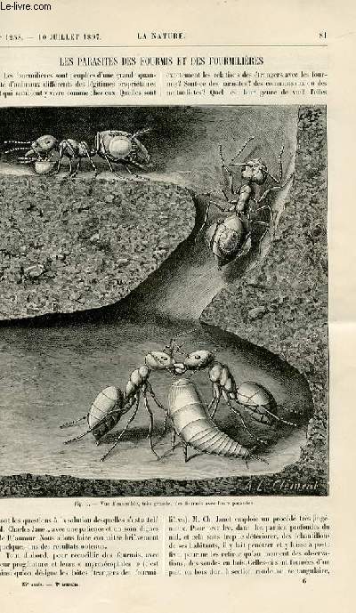 La nature n 1258 - Les parasites des fourmis et des fourmilires avec gravure dans le texte par A. L. Clment de fourmis et leurs parasites dans une galerie. La traction lectrique  paris avec gravures dnas le texte et gravure pleine page de la salle