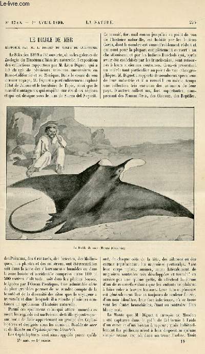 La nature n° 1349 - Le diable de mer - le vernis dentaires des pa - Picture 1 of 1