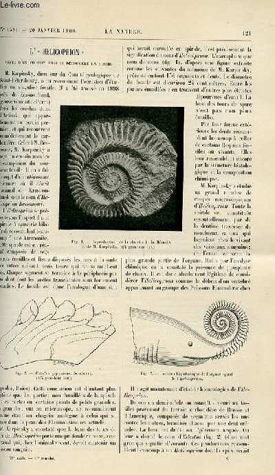 La nature n 1391 - L'hlicoprion - reste d'un poisson fossile dcouvert en Russie. L'anesthsie par la cocane par A. Cartaz. Val Bregaglia et valteline. L'origine de la pile de volta par Pellissier. Les muscles expressifs de la face illustr de gravures