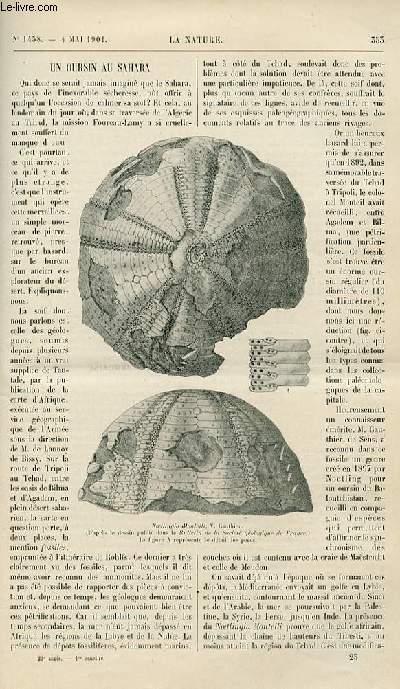 La nature n 1458 - Un Oursin au Sahara par A. de Lapparent - La Rotation de la couronne solaire par M . Fouch - Les Ordures Mnagres d'Anvers - Un Systme d'attelage Automatique pat D. Bellet - Le Gazogne Javal par G. Guroult - La Vapeur Bleue