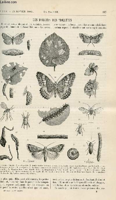 La nature n 1496 - Les insectes des violettes avec gravures dans le texte de ces insectes. La science au thtre - chaudire lectrique - cascade de pierreries - ballet de bijoux avec gravures dans le texte. Action de l'lectricit sur les brouillard