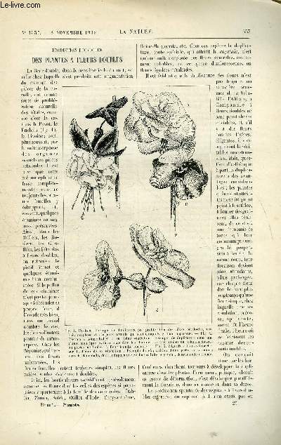 La nature n 1537 - Production provoque des plantes  fleurs doubles avec gravures dans le texte (fuschia, bgonias..). L'opaline et ses applications avec gravure dnas le texte. Un complment  l'histoire des chemines de fes par Meunier. La munia
