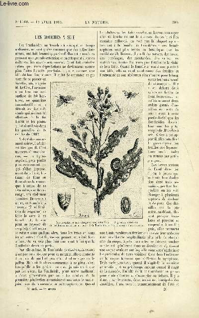 La nature n 1560 - Les Mouches a scie par H. Coupin - Fabrication industrielle de la casine par H. Labb - L'clairage par incandescence dans les phares par D. Bellet - Le Holl-Loch par E.A Martel - La chasse de la baleine par Charle Rabot - Briquettes