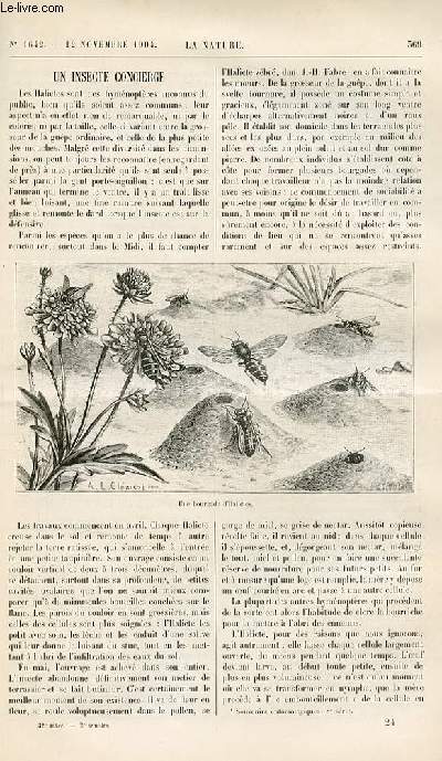 La nature n 1642 - Un Insecte concierge par H Coupin - Les travaux du tunnel de simplon - La Baisse des terre en Angleterre et les cultures fruitires - Tirefonnage et bourrage mcanique des voies de chemin de fer - par D. Bellet - Tlgraphie Multiple