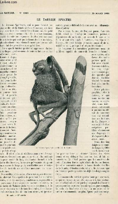 La nature n 1818 - Le tarsier spectre par Forbin, Les orchestrophones par Boyer, Le mtro de Paris: les travaux de la Place de la Cit par Loyselles, Le tir au canon en chambre par Vitoux