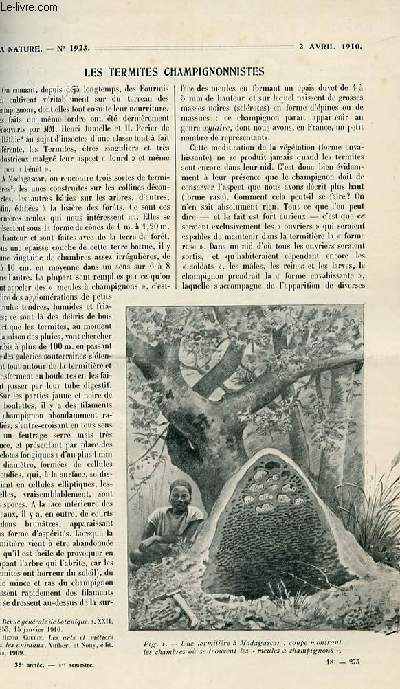 La nature n 1923 - Les termites champignonnistes par Coupin, L'emploi de l'air comprim pour le sauvetage des navires couls par Jourdan, La reconstruction de Chicago par Forbin, Les machines  jet de sable par Champly, L'observatoire sismologique