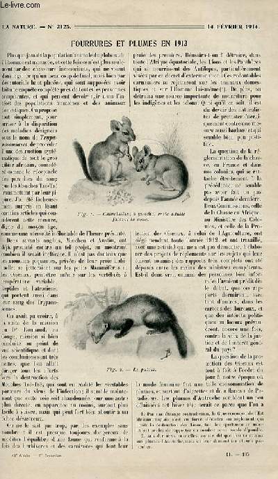 La nature n 2125 - Fourrures et plumes en 1913 par Trouessart, Batteries mobiles Schneider sur voie ferre par Boyer, La stnotypie par Fournier, La dlimitation du Congo par Gariot, La lutte contre la fivre typhode par Martel