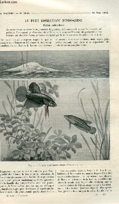 La nature n 2140 - Le petit combattant d'Indo-Chine: betta splendens par Fabre-Domergue, La rigidit et la solidit des navires par Jourdan, Le parc national du Haut Vnon par Mathey, Les portires homicides des wagons par Durand, L'audition