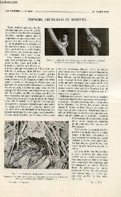 La nature n 2659 - Crapauds, grenouilles et rainettes par Lon Bertin, Les protines par E.L, Le renflouement de la 