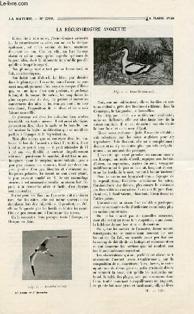 La nature n 2709 - La rcurvirostre avocette par L. Coopman, Les charbons actifs d'Edouard urbain par H. Chaumat, Action du gel sur les vgtaux par Antonin Rolet, Araignes venimeuses du Brsil par L.M, Voiture  hlice sur voie ferre par E. Weiss.